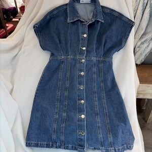 Zara Blue Denim Button-Front Mini Dress